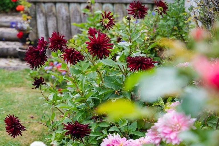 Photo of property in 46a Kenmure Road, Belleknowes, Dunedin, 9011