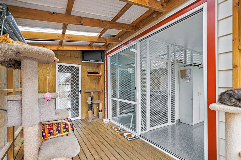 Photo of property in 354 Kaipara Flats Road, Dome Forest, Warkworth, 0981