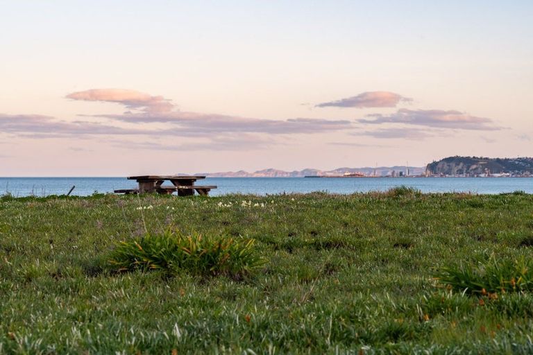 Photo of property in 14 Le Quesne Road, Bay View, Napier, 4104