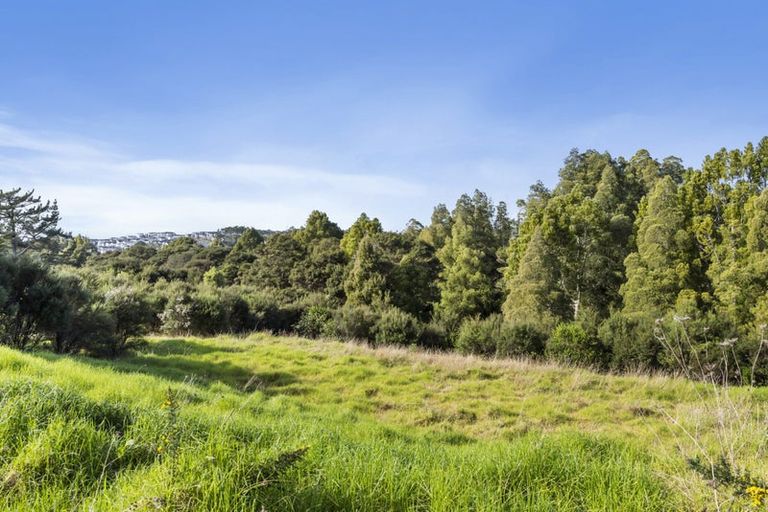 Photo of property in 88 Vaughans Road, Long Bay, Auckland, 0792