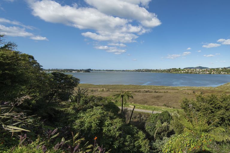 Photo of property in 74 Harrier Street, Parkvale, Tauranga, 3112