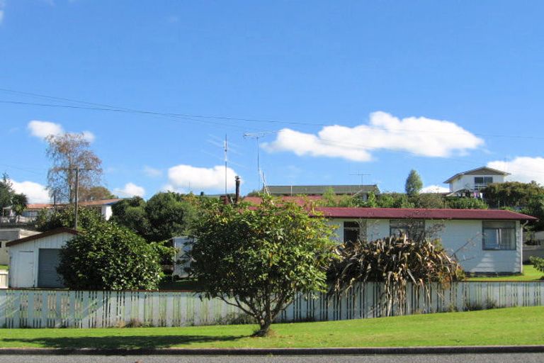 Photo of property in 14 Reservoir Street, Putaruru, 3411