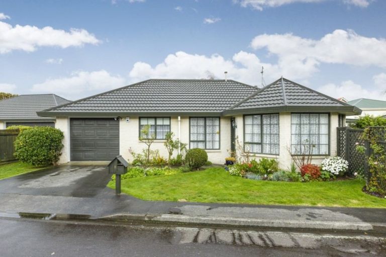 Photo of property in 8/63 North Street, Palmerston North, 4410