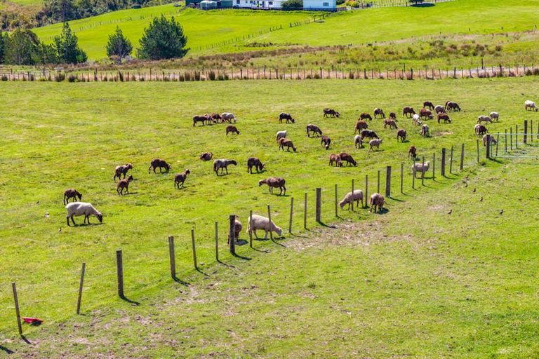 Photo of property in 438c Glenmohr Road, Waipu, 0582