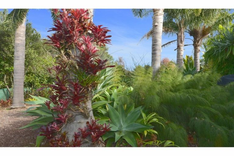 Photo of property in 17 Karaka Drive, Kerikeri, 0230