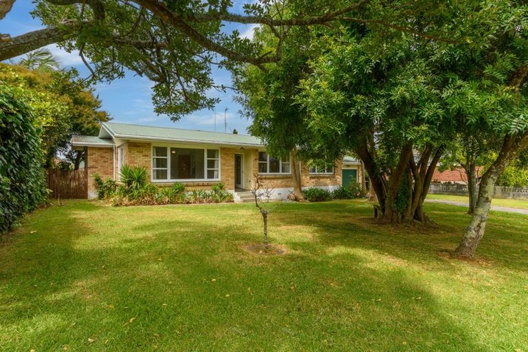 Photo of property in 3 Woods Avenue, Matua, Tauranga, 3110