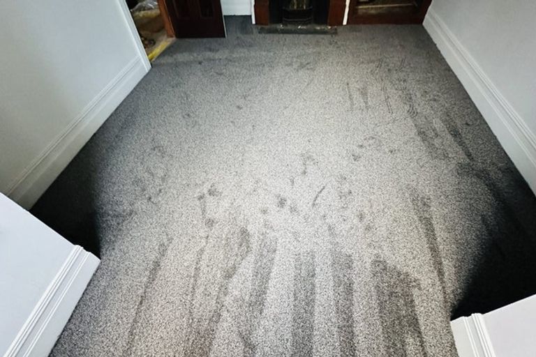 Photo of property in 6 Crown Street, North East Valley, Dunedin, 9010