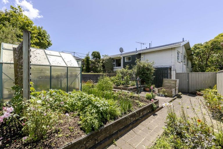 Photo of property in 48a Dorset Avenue, Westown, New Plymouth, 4310