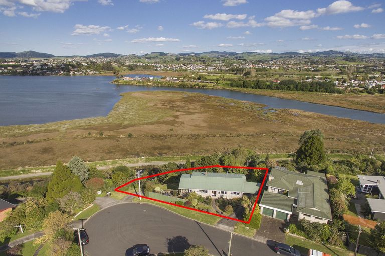 Photo of property in 74 Harrier Street, Parkvale, Tauranga, 3112