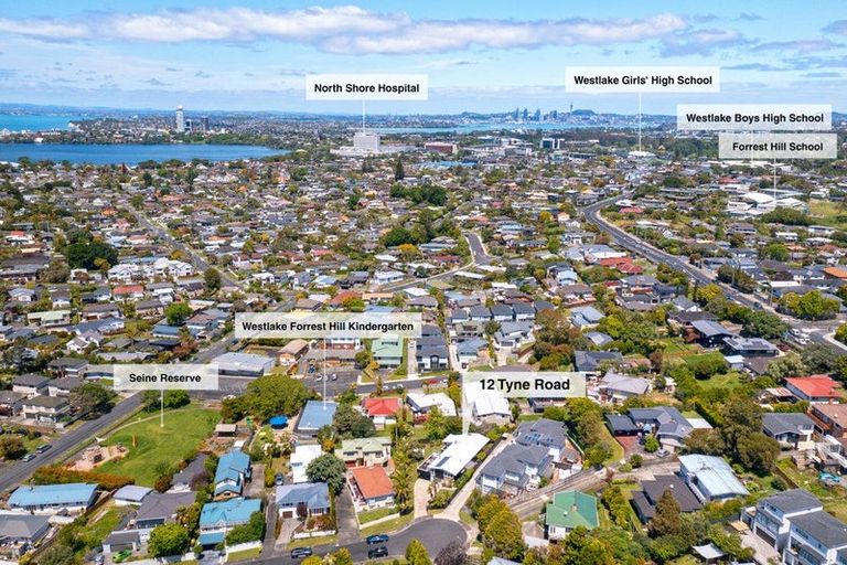 Photo of property in 12 Tyne Road, Forrest Hill, Auckland, 0620