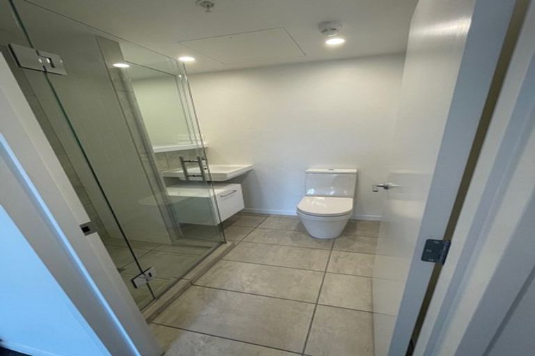 Photo of property in Vsp South, 301/168 Victoria Street, Te Aro, Wellington, 6011