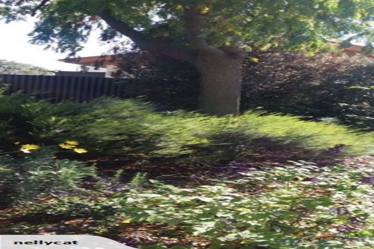 Photo of property in 2/47 Waverley Street, Richmond, 7020