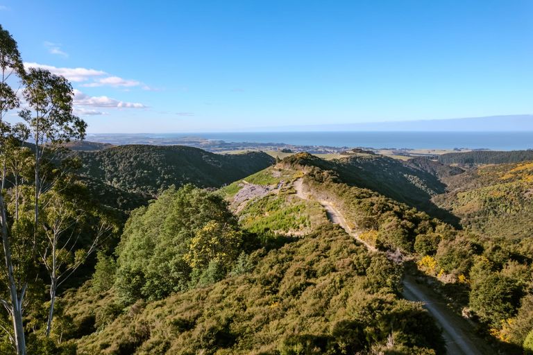 Photo of property in 24 Duncan Road, St Andrews, Hamilton, 3200