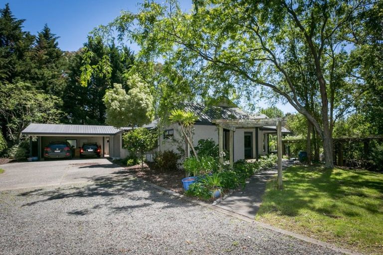 Photo of property in Tradgard, 158 Shanley Road, Crownthorpe, Hastings, 4179