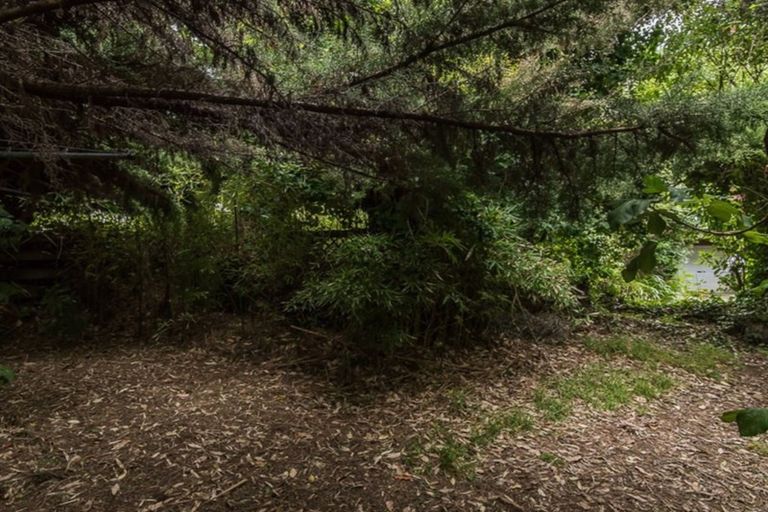 Photo of property in 99 Ruahine Street, Paraparaumu, 5032