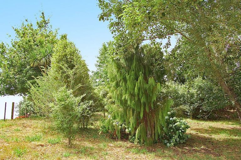 Photo of property in 87 Settlement Road, Kaiwaka, 0573