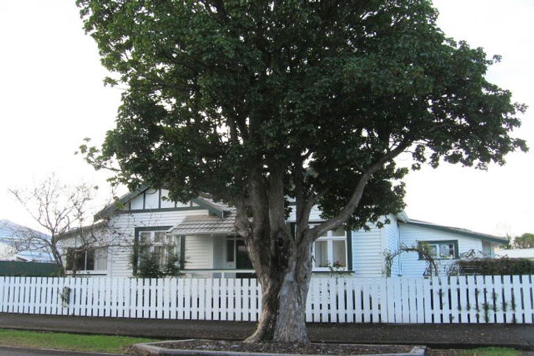 Photo of property in 31 Morris Street, Napier South, Napier, 4110