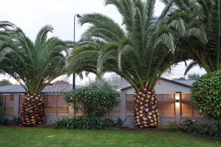 Photo of property in 8 Woodfield Place, Parkvale, Hastings, 4122