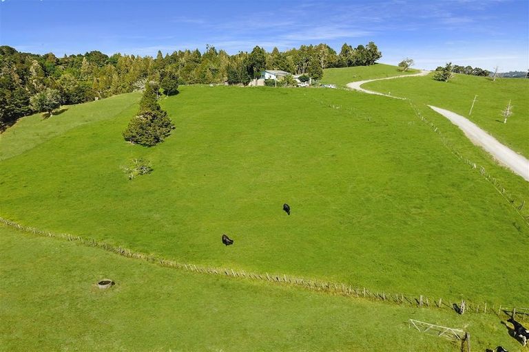 Photo of property in 397 Te Tio Road, Umawera, Okaihau, 0476