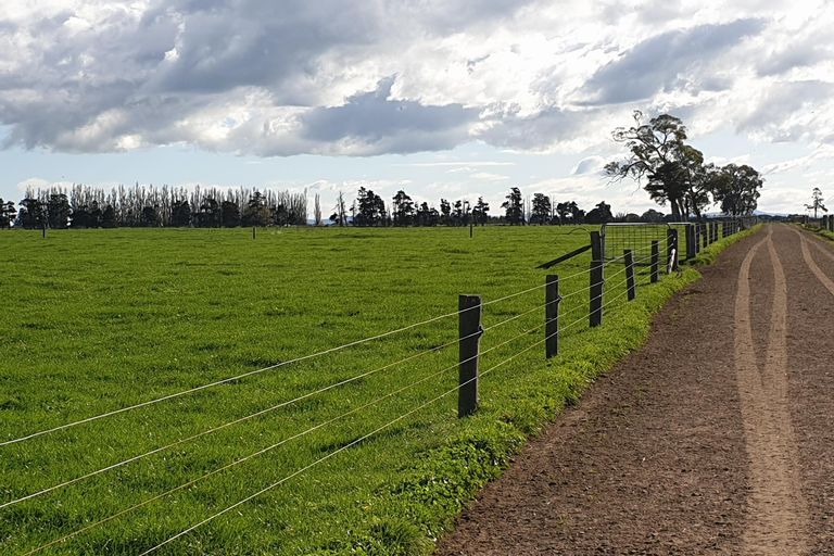 Photo of property in 661 Wardville Road, Wardville, Waharoa, 3474