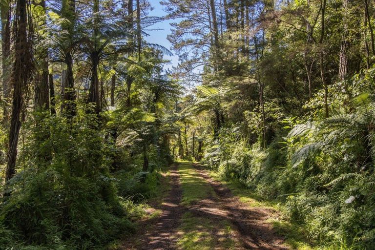 Photo of property in 403 Woodland Road, Tahawai, Katikati, 3170