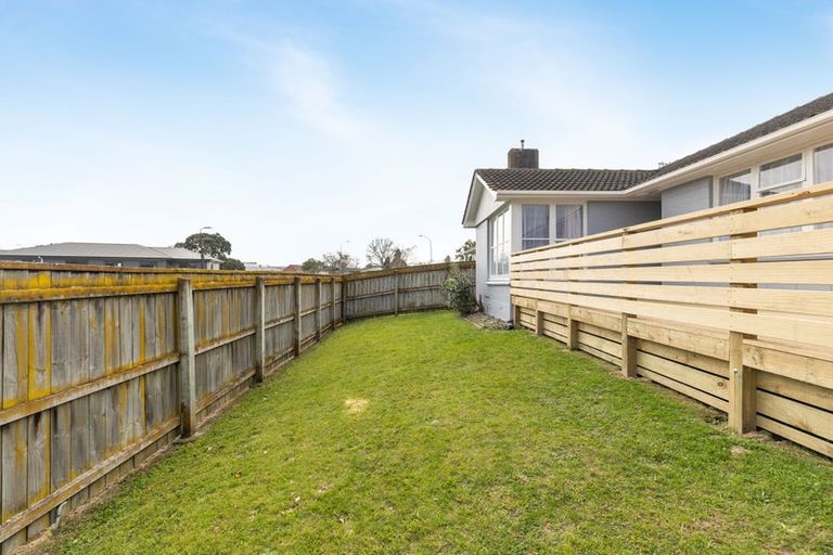 Photo of property in 58 Alexander Street, Awapuni, Palmerston North, 4412