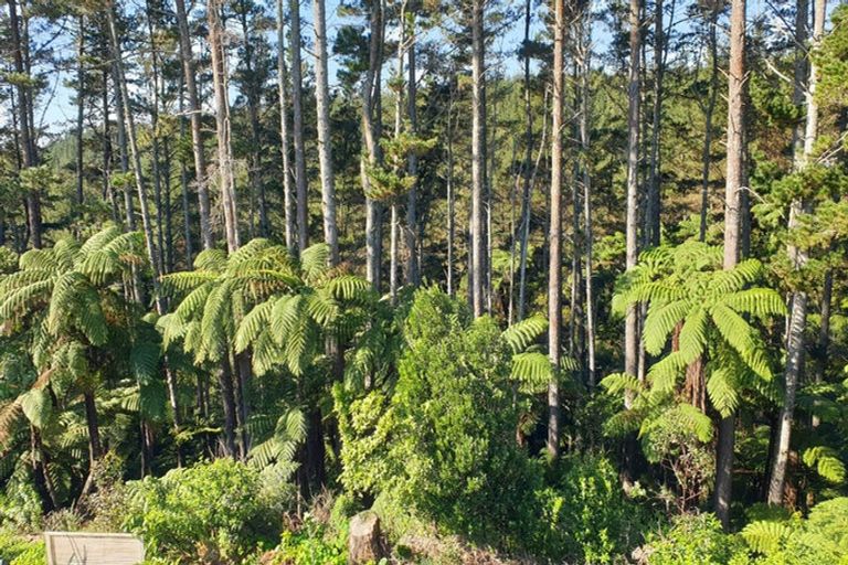 Photo of property in 1226a Pyes Pa Road, Pyes Pa, Tauranga, 3173