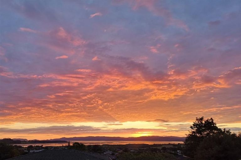 Photo of property in 41 Ridgemount Rise, Mangere Bridge, Auckland, 2022