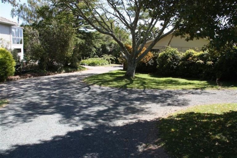 Photo of property in Downstairs Unit, 1/10 Malvern Avenue, Atawhai, Nelson, 7010