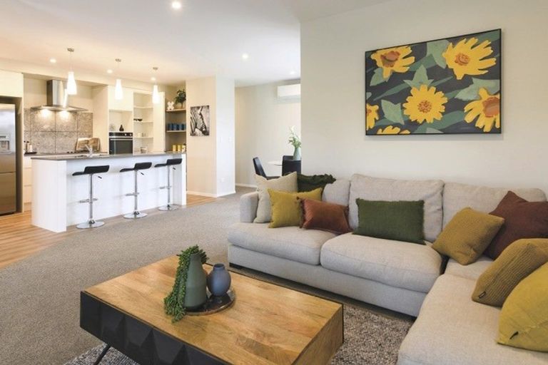 Photo of property in 79 Fairfield Road, Levin, 5510