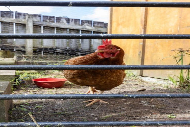 Photo of property in 18 Matheson Road, Wellsford, 0900