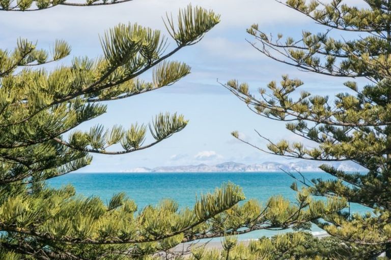 Photo of property in 247 Marine Parade, Napier South, Napier, 4110