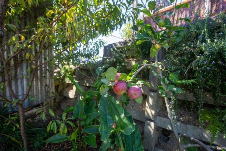 Photo of property in 7 Thompson Terrace, Toi Toi, Nelson, 7010