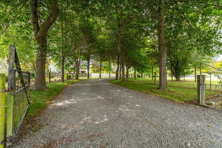 Photo of property in 251 Pages Road, Gleniti, Timaru, 7910