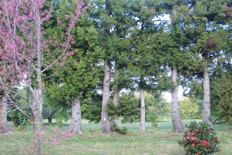 Photo of property in 20 Aileen Place, Whangamata, 3691