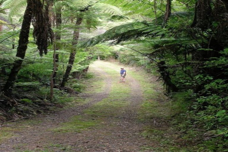 Photo of property in 432c Tapu Coroglen Road, Tapu, Thames, 3575