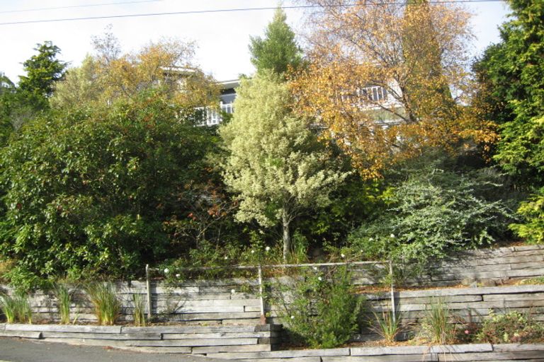 Photo of property in 156 Evans Street, Opoho, Dunedin, 9010