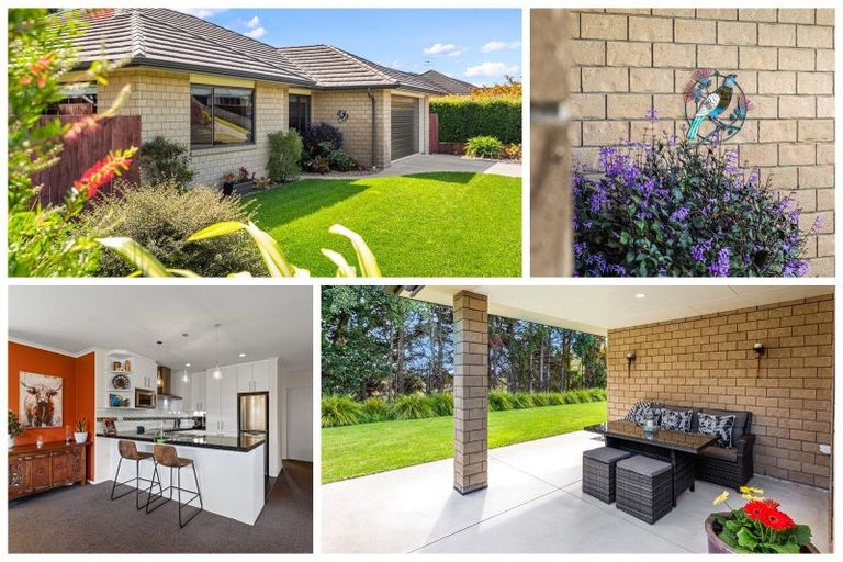 Photo of property in 22 Bertrowe Drive, Ohauiti, Tauranga, 3112