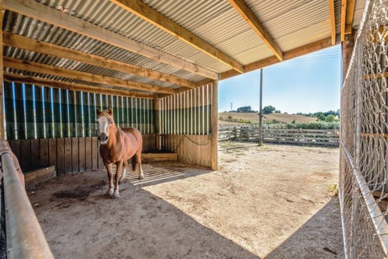 Photo of property in 164a Awahuri Feilding Road, Feilding, 4775