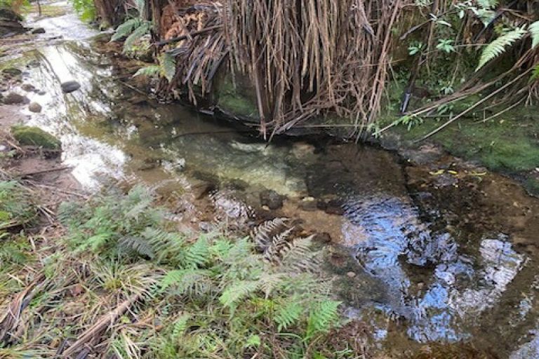 Photo of property in 287 Rowe Road, Ohauiti, Tauranga, 3173