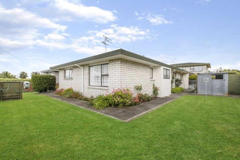 Photo of property in 124a Edgecumbe Road, Tauranga South, Tauranga, 3112