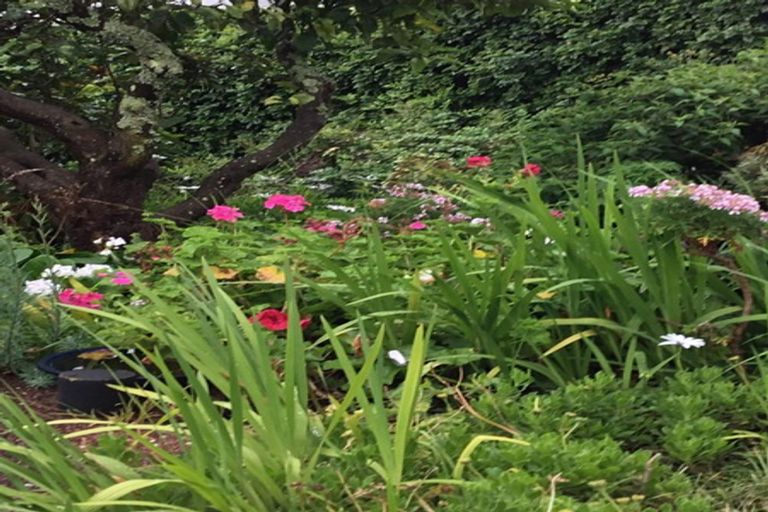 Photo of property in 38a Albert Road, Devonport, Auckland, 0624