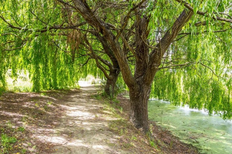 Photo of property in 672g Te Whiti Road, Te Whiti, Masterton, 5884