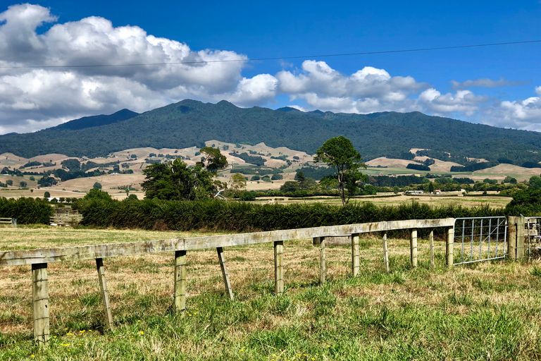 Photo of property in 62 Macky Road, Pirongia, Te Awamutu, 3876