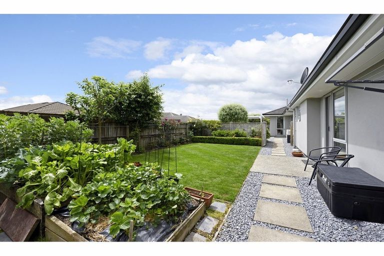 Photo of property in 6 Childs Way, Richmond, 7020