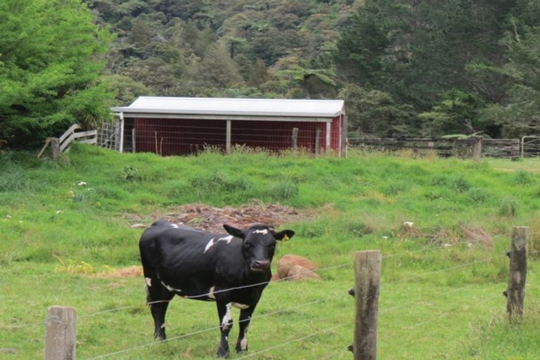 Photo of property in 401 Opouteke Road, Kaihu, Dargaville, 0379