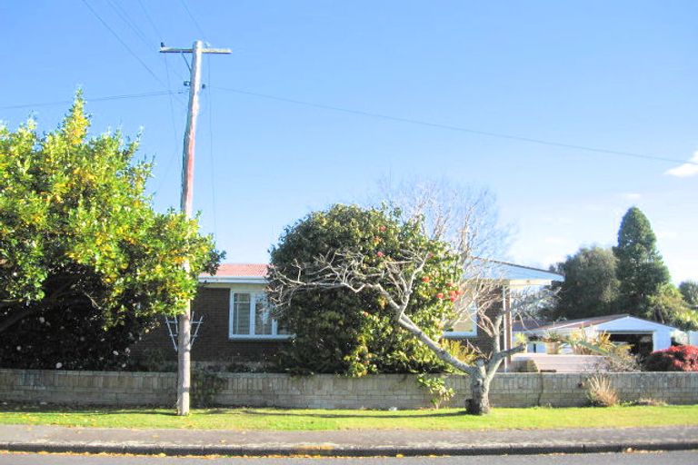 Photo of property in 1 Cameron Street, Papakura, 2110