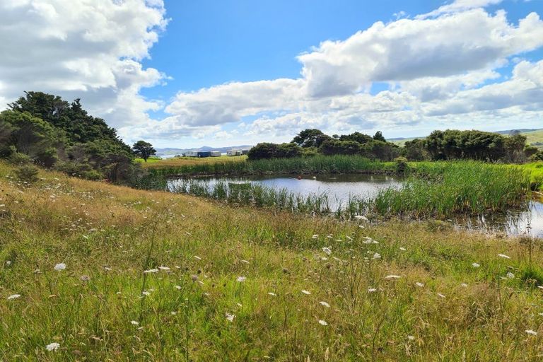 Photo of property in 304 Arapaoa Road, Tinopai, Matakohe, 0593