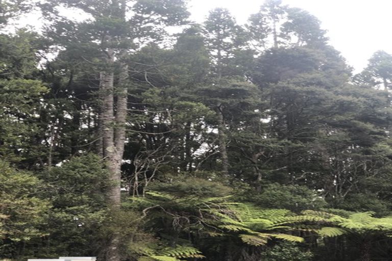 Photo of property in 152n Parker Road, Oratia, Auckland, 0604