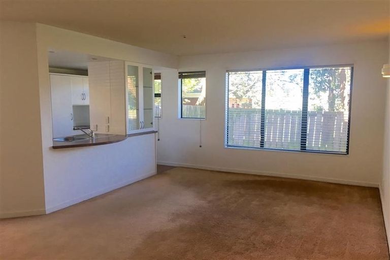 Photo of property in 566i Adelaide Road, Berhampore, Wellington, 6023